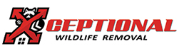 Tarpon Springs Wildlife Removal